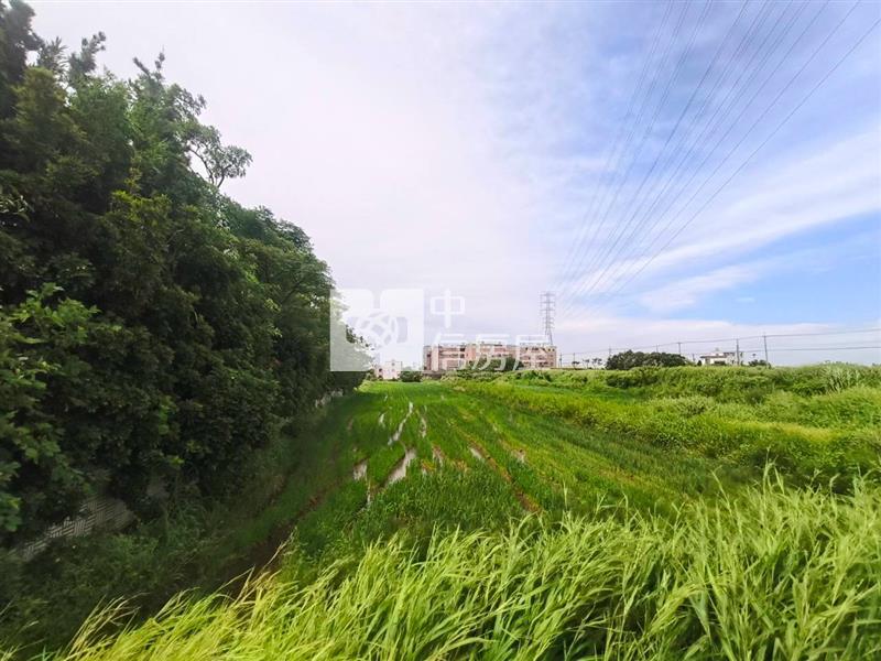 觀音新坡國小便宜低於公告農保田房屋室內格局與周邊環境