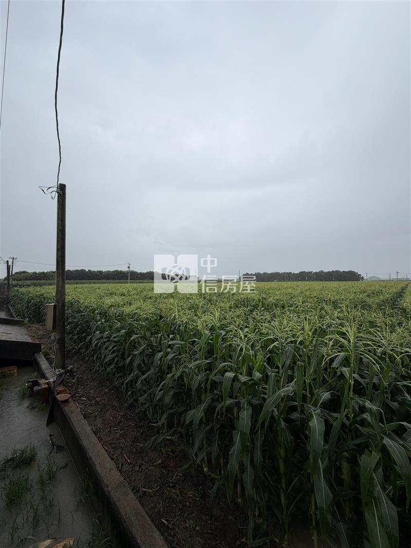 東勢四美段美農地房屋室內格局與周邊環境