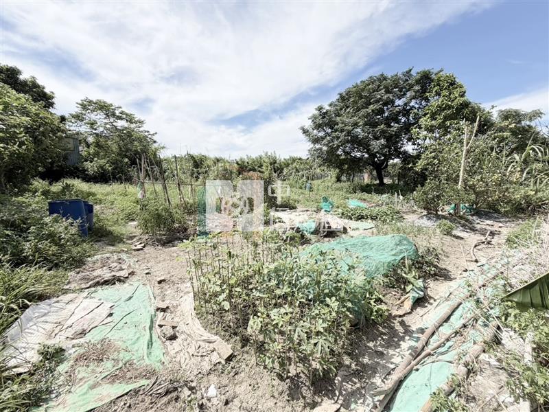 【豐禾】桃園後站稀有都內農地房屋室內格局與周邊環境