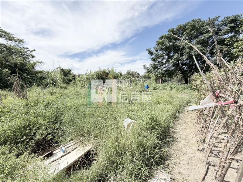 【豐禾】桃園後站稀有都內農地房屋室內格局與周邊環境