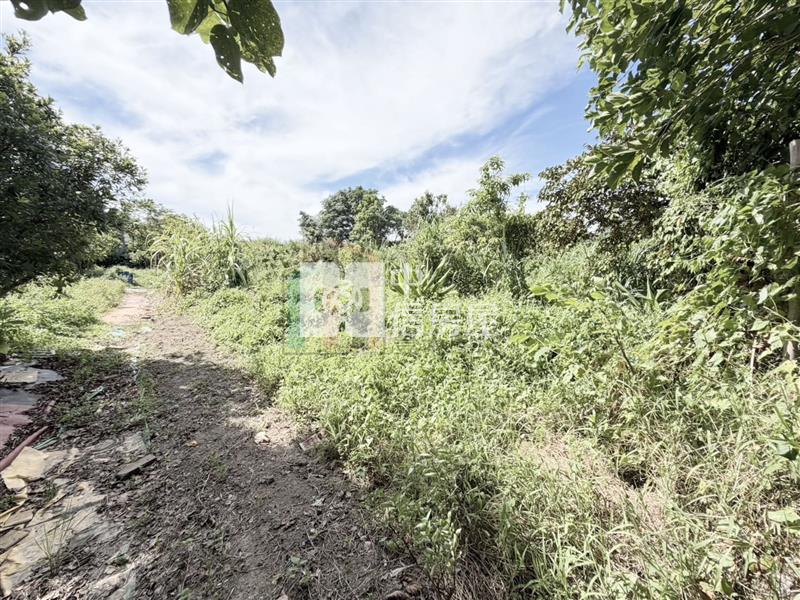 【豐禾】桃園後站稀有都內農地房屋室內格局與周邊環境