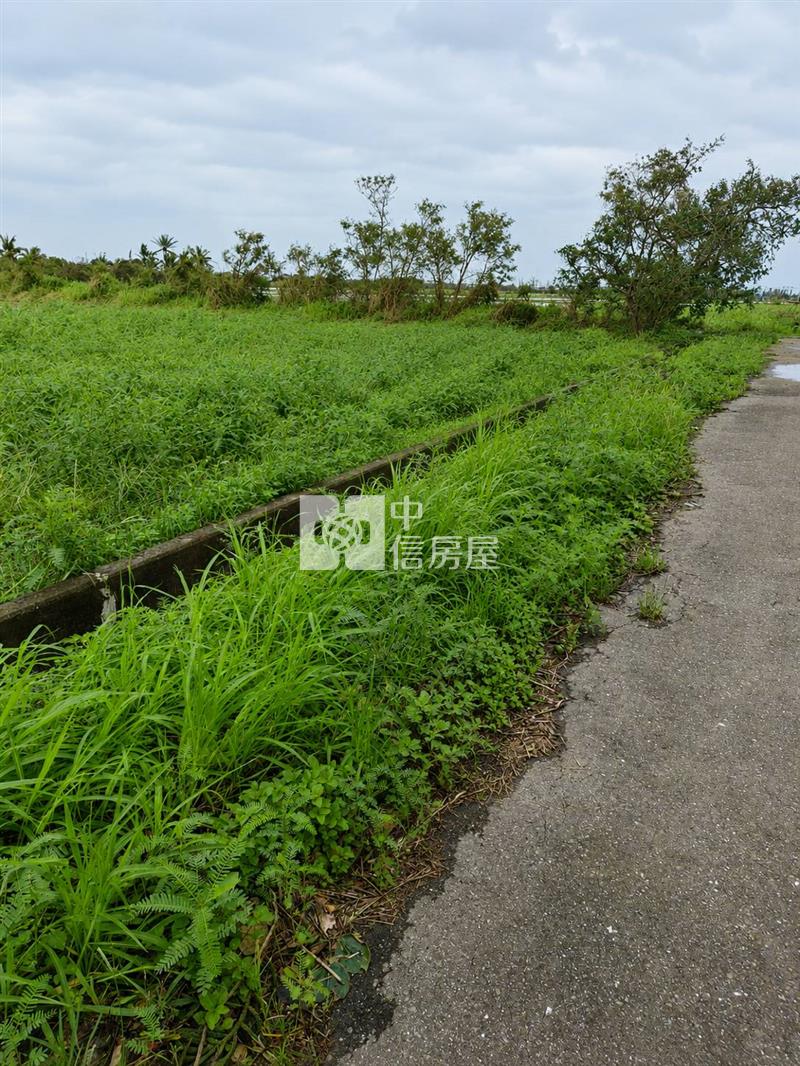 七股雙面臨路小美農地房屋室內格局與周邊環境