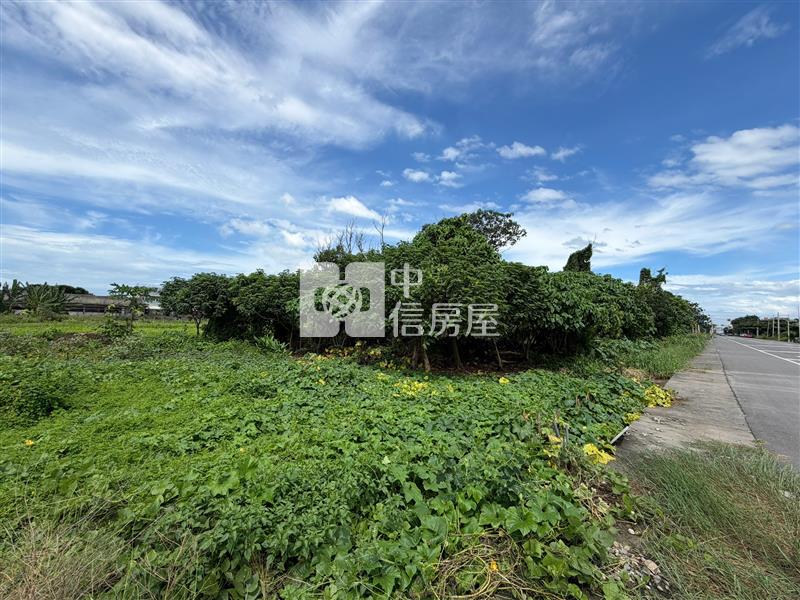 176公頃未來工業區大面積農地房屋室內格局與周邊環境