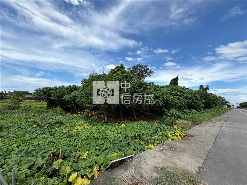 176公頃未來工業區大面積農地房屋室內格局與周邊環境