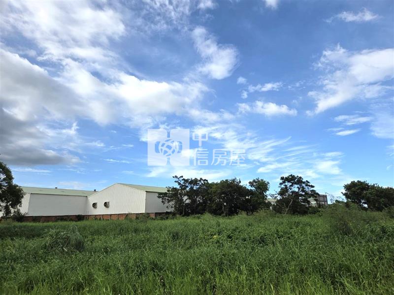 【安家】機捷大園站A15航城路一段都內農地房屋室內格局與周邊環境