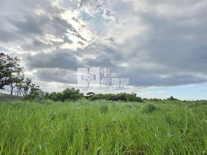 【安家】機捷大園站A15航城路一段都內農地房屋室內格局與周邊環境