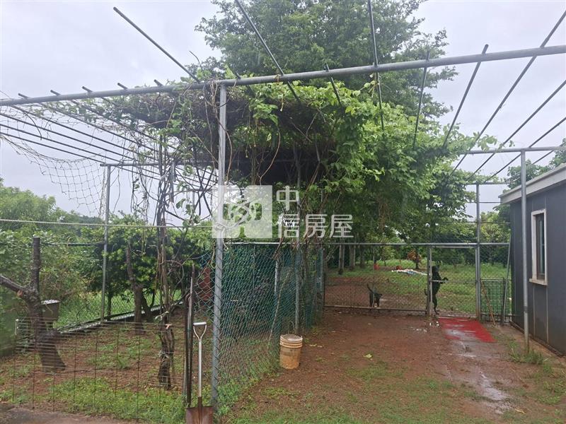 蓮花園區大庭園漂亮農舍房屋室內格局與周邊環境