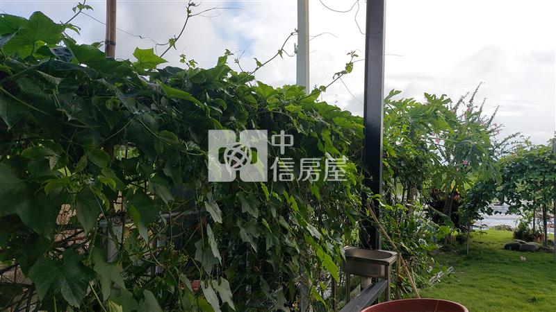七股竹子港臨10米路大面寬休閒農地房屋室內格局與周邊環境