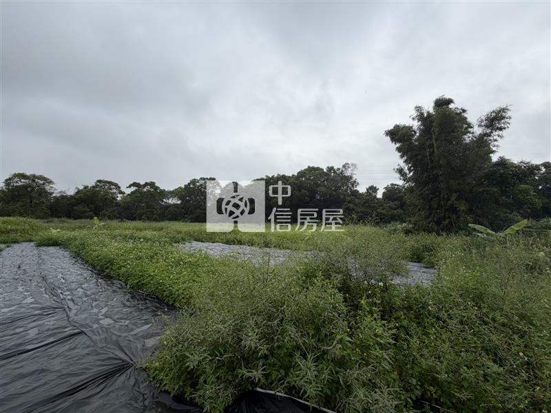 近龍潭市區美農地房屋室內格局與周邊環境