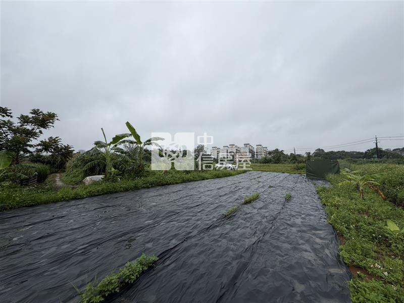 近龍潭市區美農地房屋室內格局與周邊環境