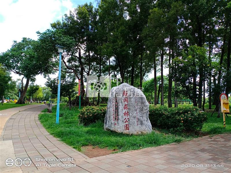 龍岡森林公園邊間大地坪美透天房屋室內格局與周邊環境