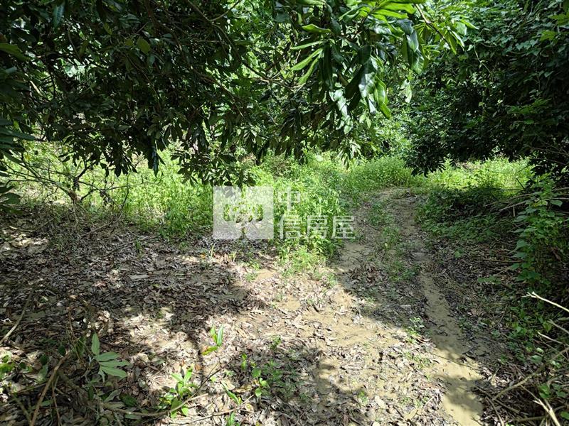 大內南寶球場前2.8分附水電農地(專)房屋室內格局與周邊環境