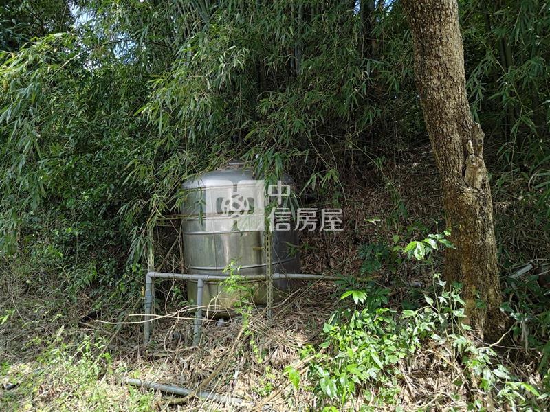 大內南寶球場前2.8分附水電農地(專)房屋室內格局與周邊環境
