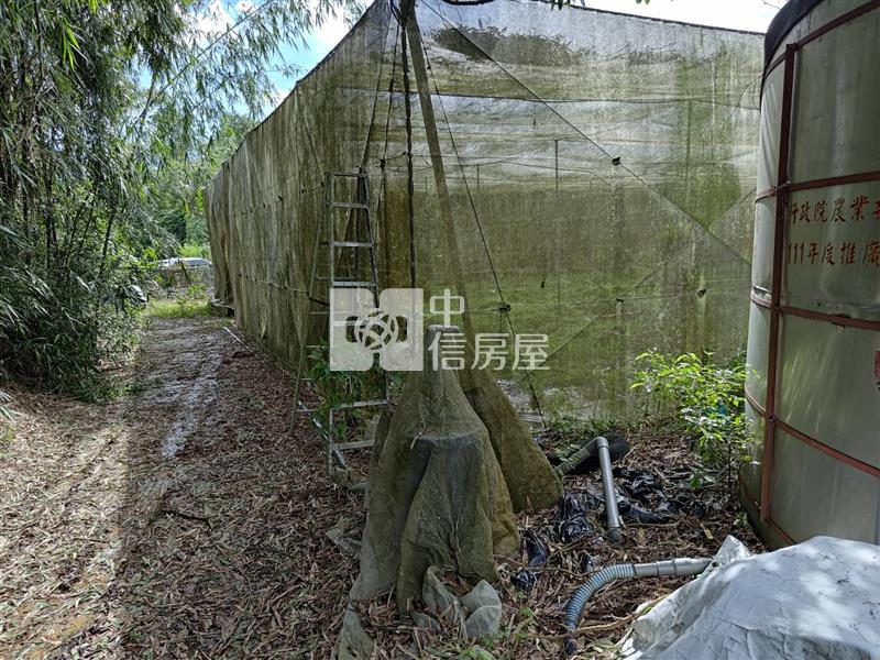 大內南寶球場前2.8分附水電農地(專)房屋室內格局與周邊環境