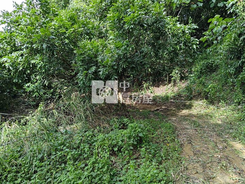 大內南寶球場前2.8分附水電農地(專)房屋室內格局與周邊環境