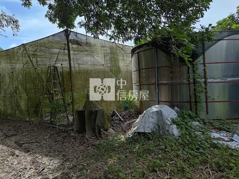 大內南寶球場前2.8分附水電農地(專)房屋室內格局與周邊環境