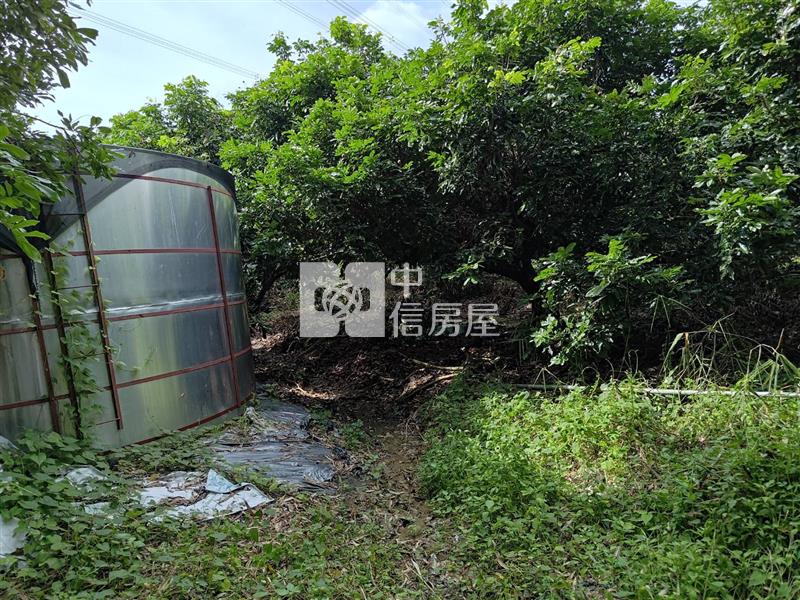 大內南寶球場前2.8分附水電農地(專)房屋室內格局與周邊環境