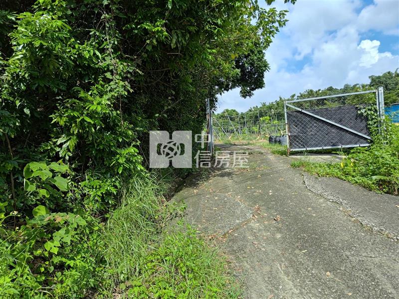 大內南寶球場前2.8分附水電農地(專)房屋室內格局與周邊環境