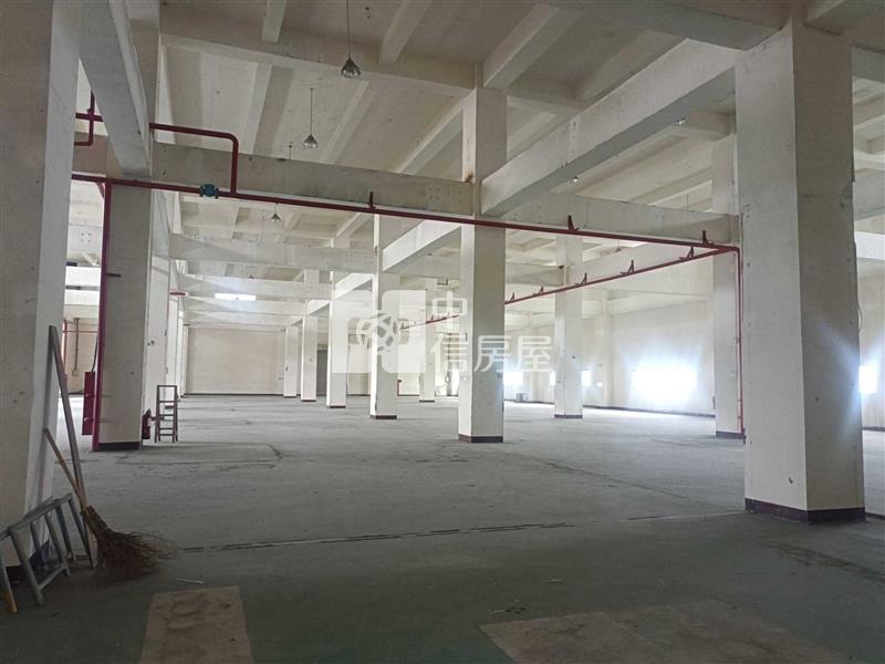 楊梅萬坪RC廠房房屋室內格局與周邊環境