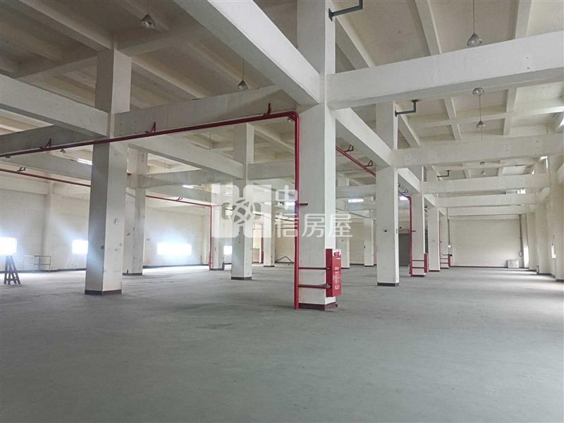 楊梅萬坪RC廠房房屋室內格局與周邊環境