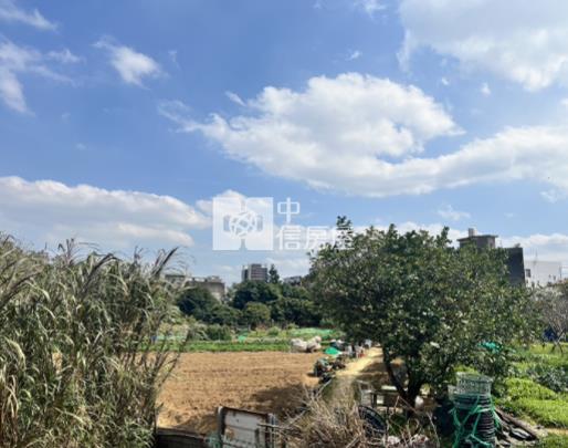 (專)八德廣福路臨路大面寬持分農地房屋室內格局與周邊環境