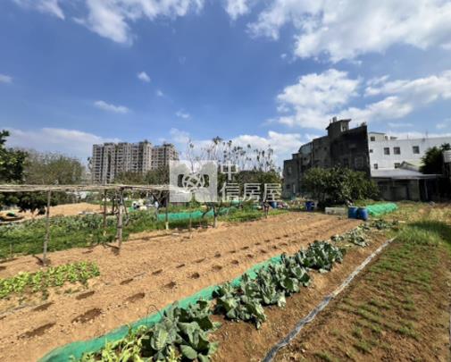 (專)八德廣福路臨路大面寬持分農地房屋室內格局與周邊環境