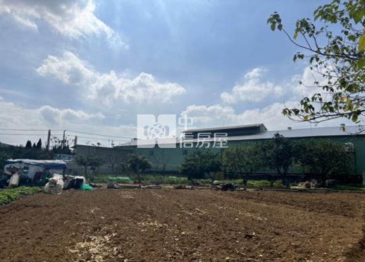 (專)八德廣福路臨路大面寬持分農地房屋室內格局與周邊環境