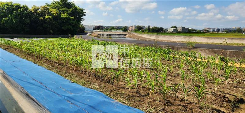 新豐新湖溪畔幸福小農地房屋室內格局與周邊環境