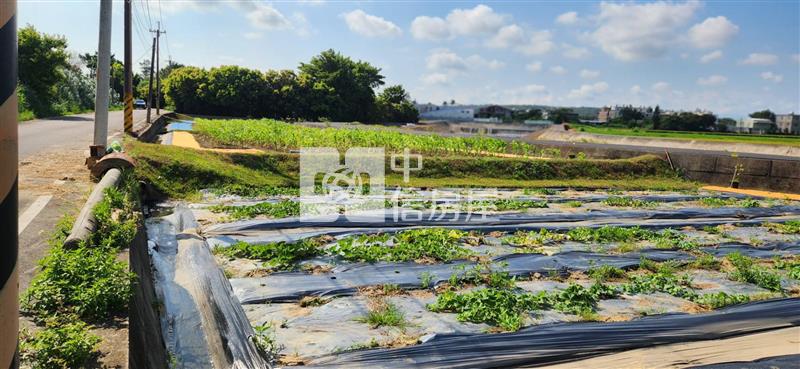 新豐新湖溪畔幸福小農地房屋室內格局與周邊環境