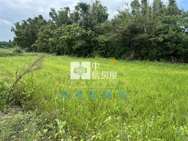 【新夢想】觀音育仁段美田房屋室內格局與周邊環境