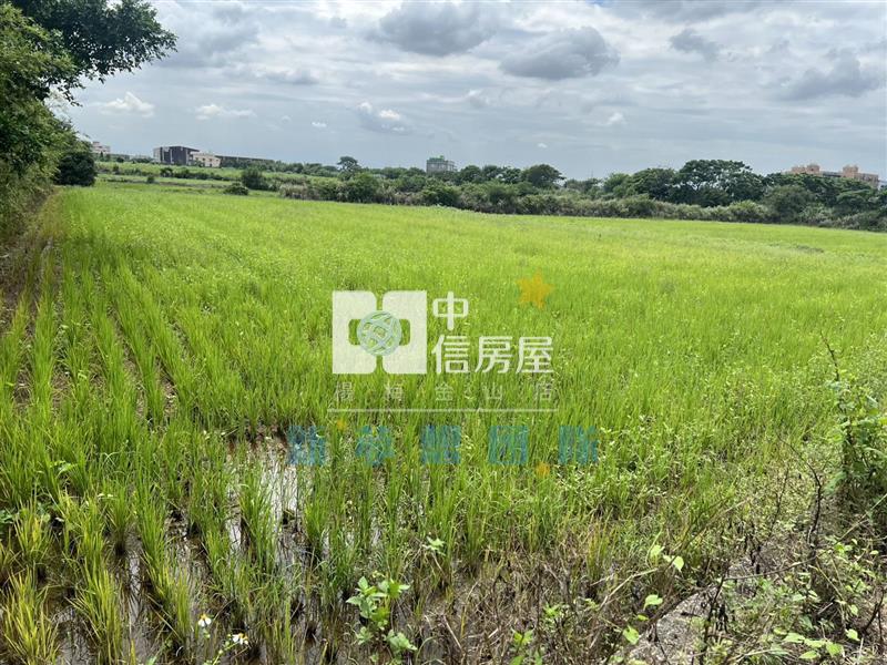 【新夢想】觀音育仁段美田房屋室內格局與周邊環境