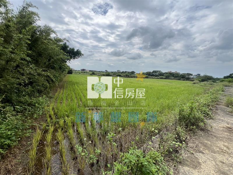 【新夢想】觀音育仁段美田房屋室內格局與周邊環境