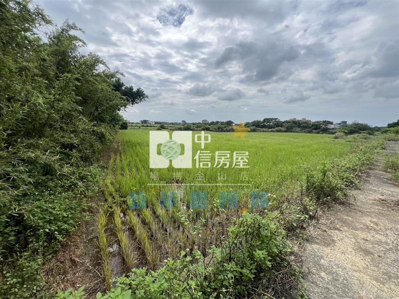 【新夢想】觀音育仁段美田房屋室內格局與周邊環境