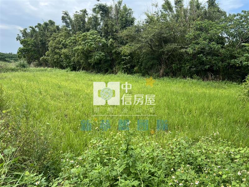 【新夢想】觀音育仁段美田房屋室內格局與周邊環境