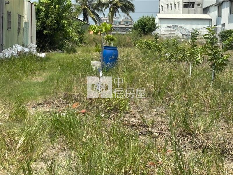 安定海寮一般美農地2房屋室內格局與周邊環境
