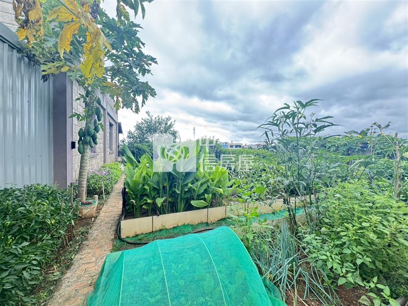 【安家】新屋臺61花園農舍房屋室內格局與周邊環境