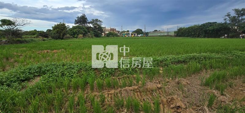 近新坡市區優質美農地房屋室內格局與周邊環境
