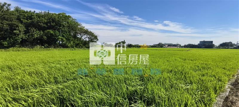 【新夢想】新屋休閒農業區美田房屋室內格局與周邊環境