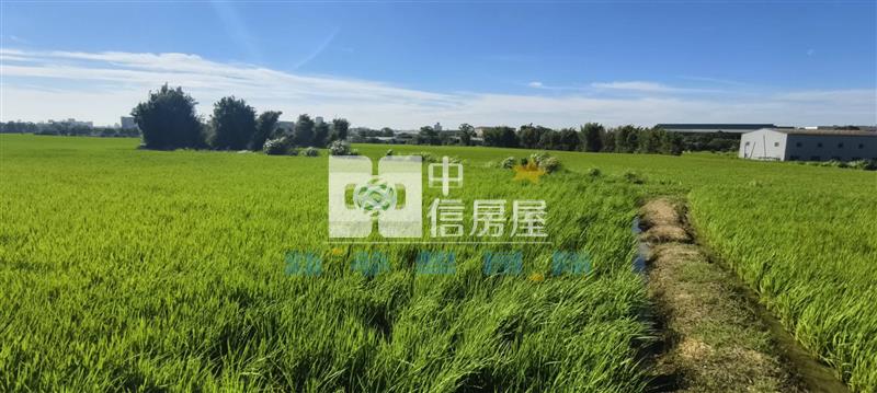 【新夢想】新屋休閒農業區美田房屋室內格局與周邊環境