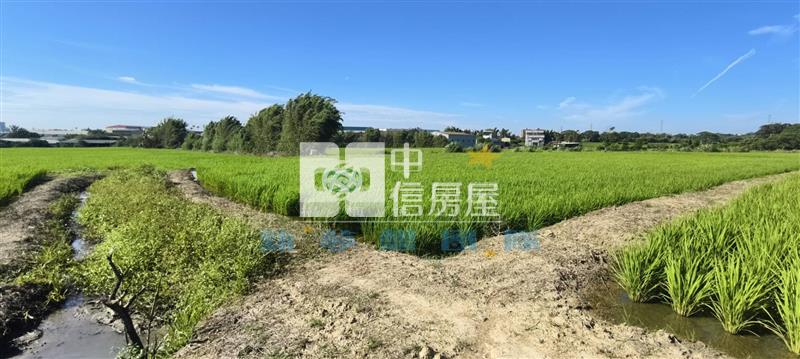 【新夢想】新屋休閒農業區美田房屋室內格局與周邊環境