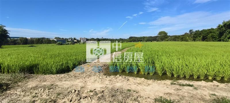 【新夢想】新屋休閒農業區美田房屋室內格局與周邊環境