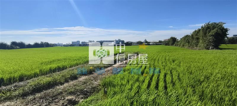 【新夢想】新屋休閒農業區美田房屋室內格局與周邊環境