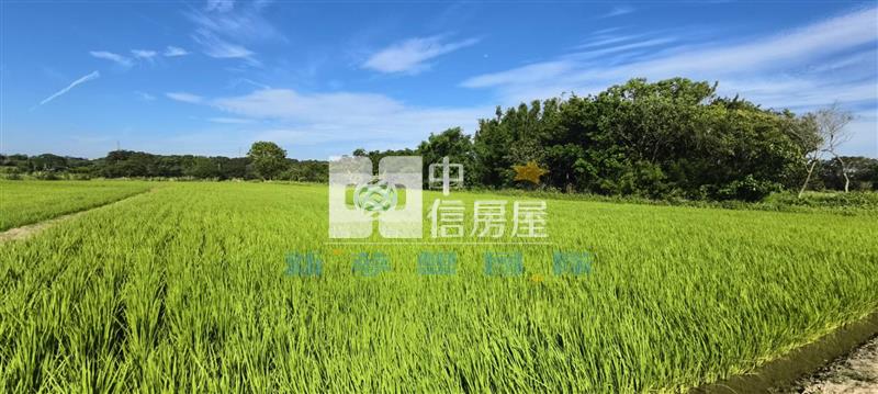 【新夢想】新屋休閒農業區美田房屋室內格局與周邊環境