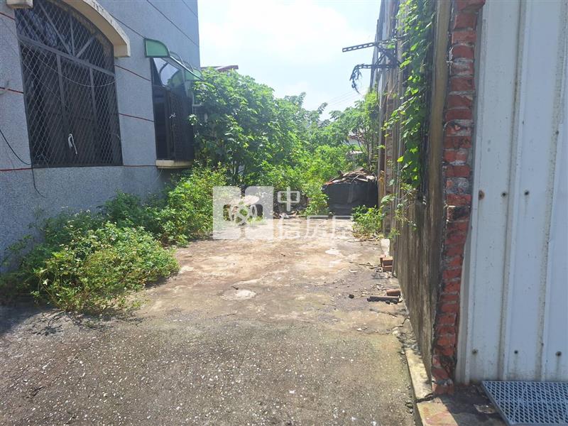 嘉義義竹近消防隊大坪數大而美甲建房屋室內格局與周邊環境