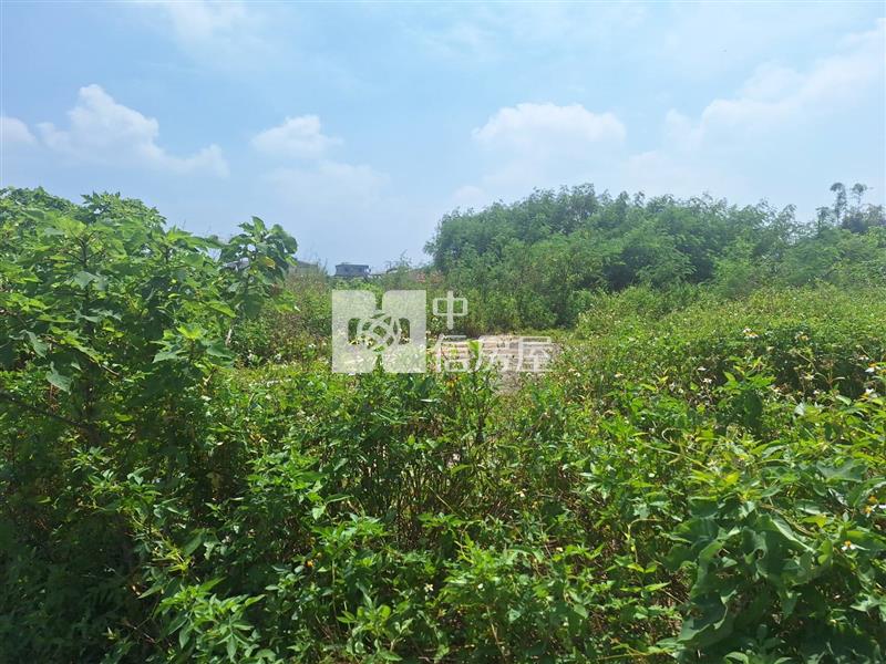 嘉義義竹近消防隊大坪數大而美甲建房屋室內格局與周邊環境