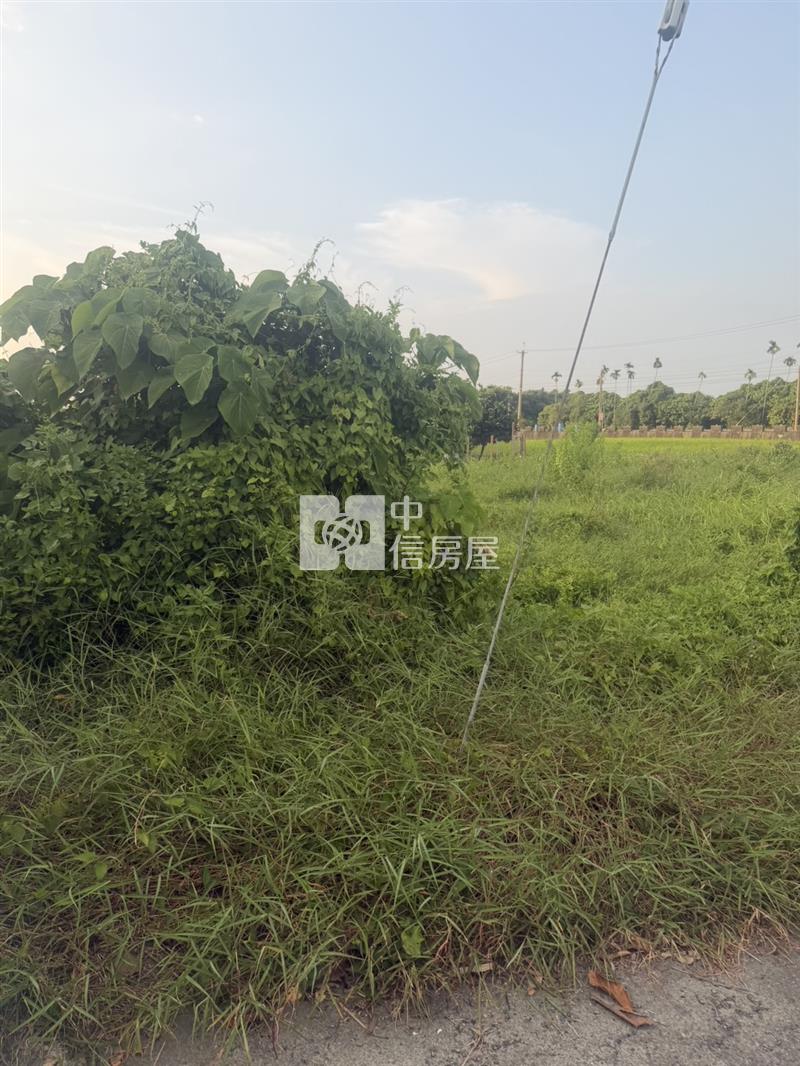 彰化秀水社區旁農地房屋室內格局與周邊環境