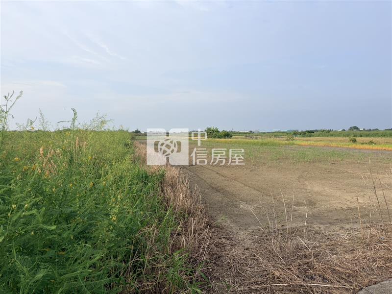 近七股工業區4分特農地房屋室內格局與周邊環境