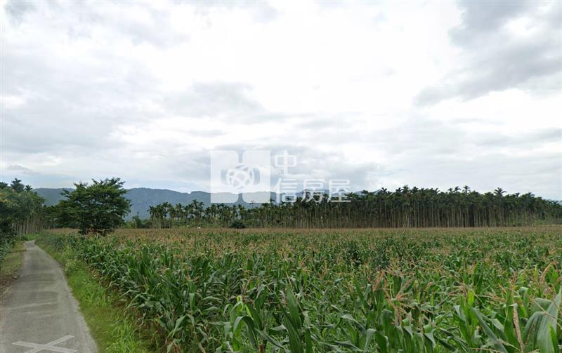 光復鄉大坪數承租權平坦農地(C32)房屋室內格局與周邊環境