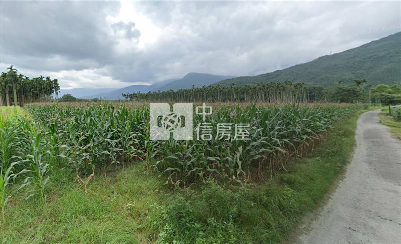 光復鄉大坪數承租權平坦農地(C32)房屋室內格局與周邊環境