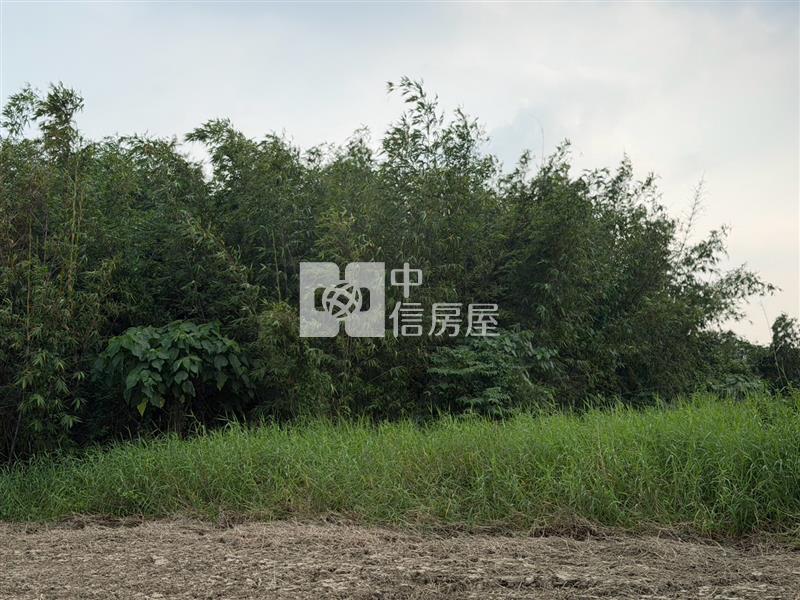 關廟深坑子旁農場房屋室內格局與周邊環境
